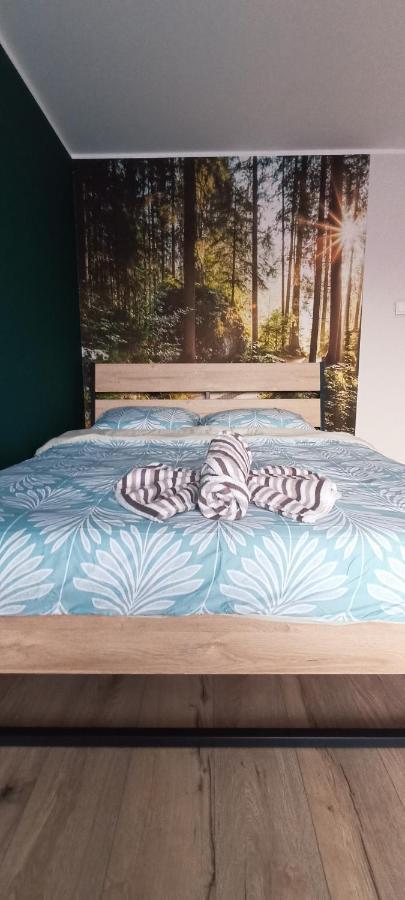 Apartamenty Diamond Na Sportowej Tylicz Exteriör bild